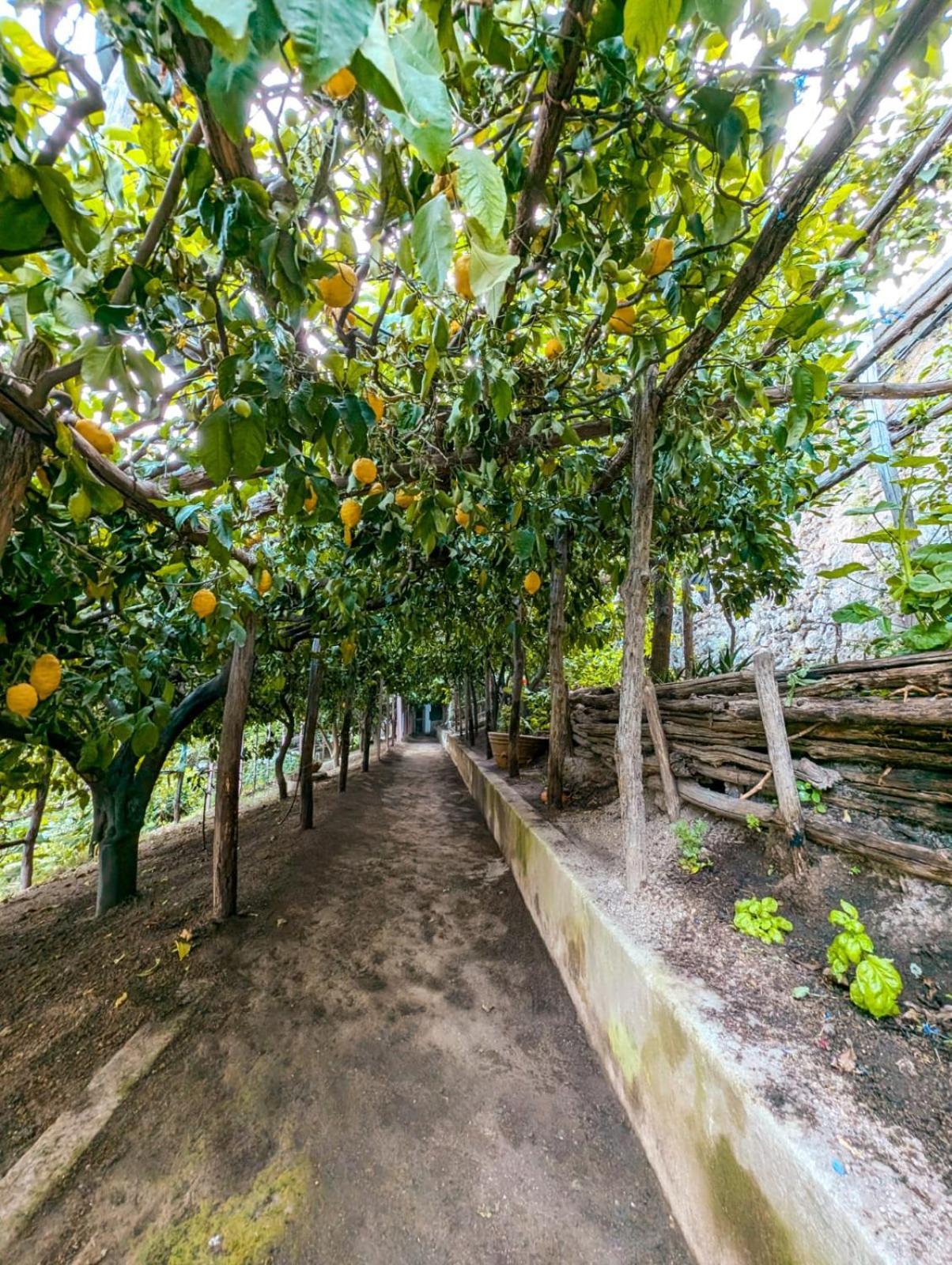 Apartmán Casa Emi Amalfi Exteriér fotografie